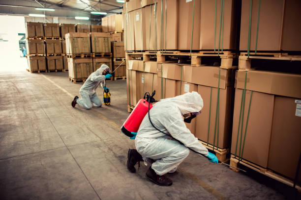 Best Emergency Pest Control  in Mansura, LA