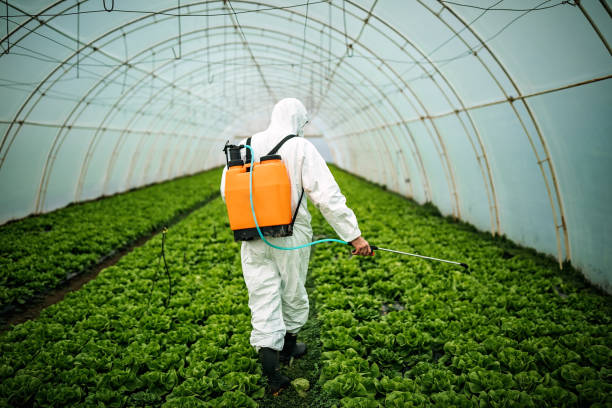 Pest Prevention Services in Mansura, LA