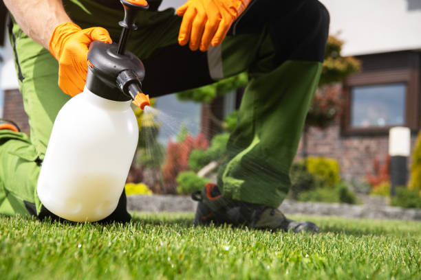 Best Emergency Pest Control  in Mansura, LA