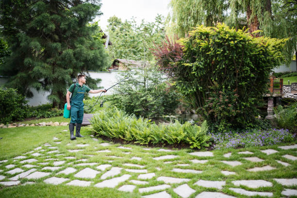 Pest Control Cost in Mansura, LA