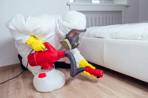 Best Rat Extermination Near Me  in Mansura, LA