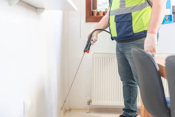 Flea Control Services in Mansura, LA