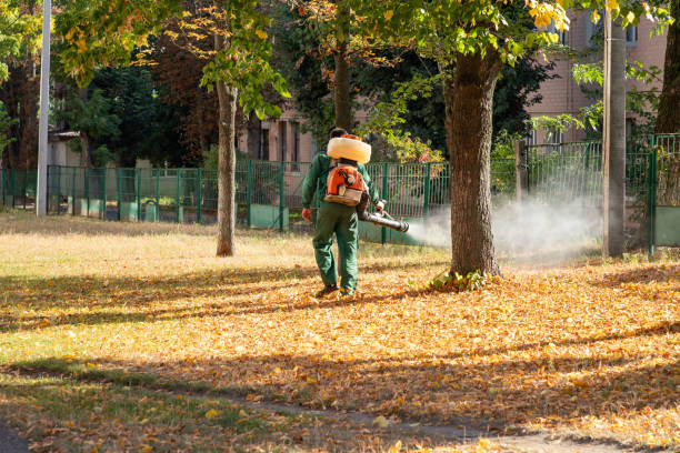 Best Affordable Pest Control Services  in Mansura, LA