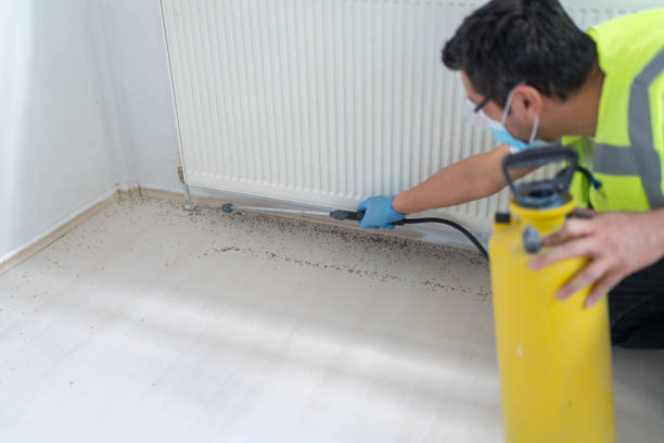 Best Pest Prevention Services  in Mansura, LA